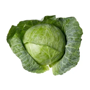 Cabbage (40)-1900922-87997.webp